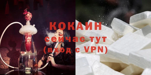 шишки Рославль