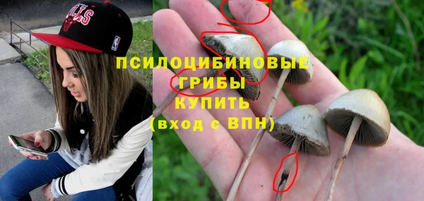 ECSTASY Алзамай