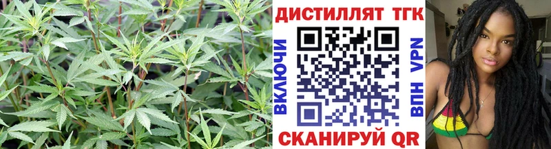 хочу наркоту Лаишево Дистиллят ТГК вейп с тгк
